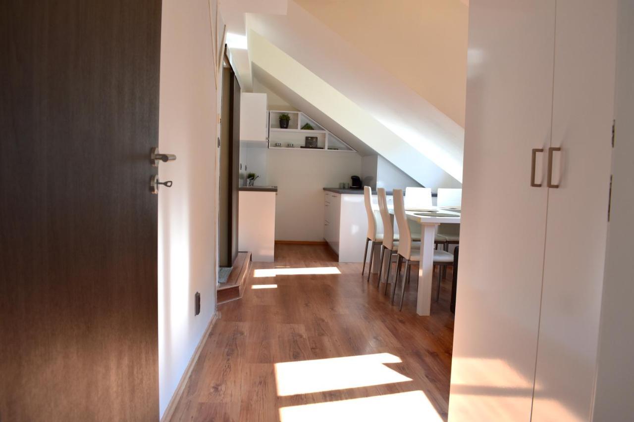 New Central Rooftop With Private Wellness, Sauna & Whirlpool Bath Prag Eksteriør billede
