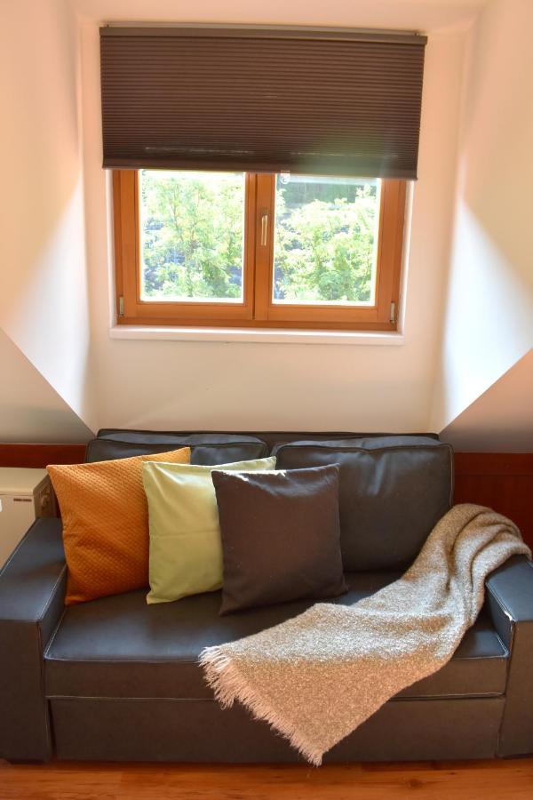 New Central Rooftop With Private Wellness, Sauna & Whirlpool Bath Prag Eksteriør billede